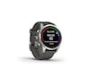 Garmin fenix 7S Pro Solar 42mm GPS (silver/graphite) Smartklokker