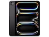 iPad Pro 11" (2024) 2TB 5G (stellarsvart) Nettbrett / iPad