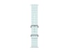 Apple Watch 49mm Natural Titanium Ocean Band (ice blue) Reim