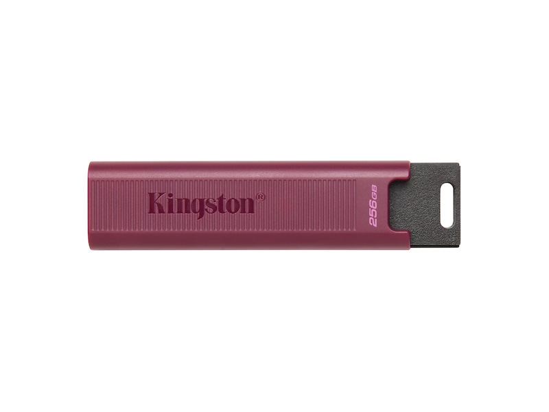 Kingston DataTraveler Max USB 256GB Minnepenn / USB