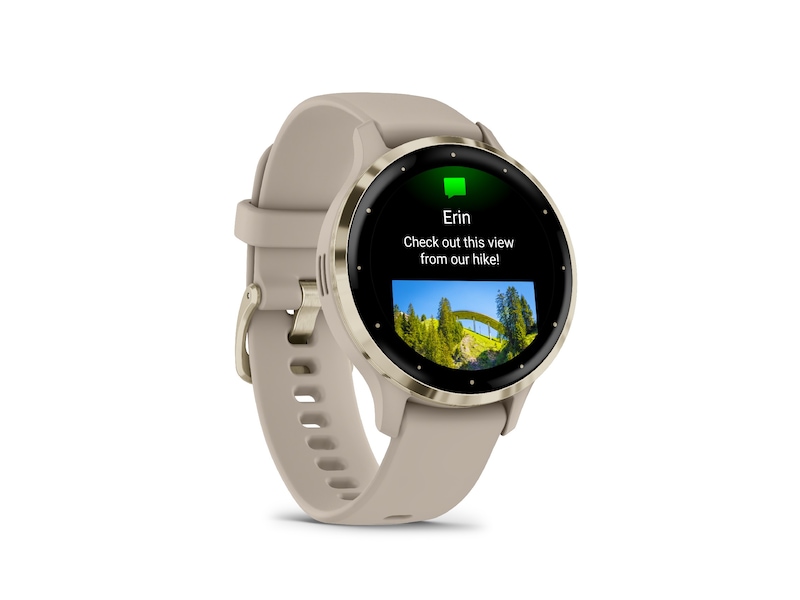 Garmin Venu 3S 41mm GPS (french gray/soft gold) Smartklokker