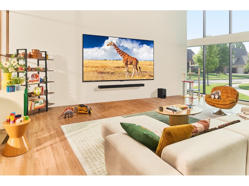 LG 65'' QNED 85 4K TV (2024) 65QNED85T6C TV-er