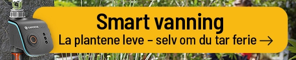 Smart vaninng