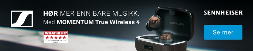 Sennheiser Momentum True Wireless 4